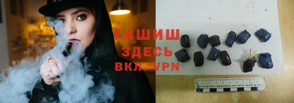 индика Сосновка