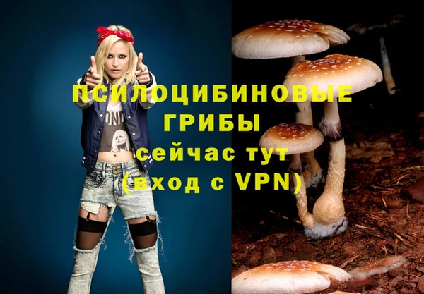PSILOCYBIN Белоозёрский