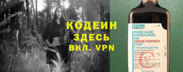индика Сосновка