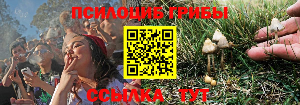 Псилоцибиновые грибы GOLDEN TEACHER  Вход с VPN  Краснокаменск 