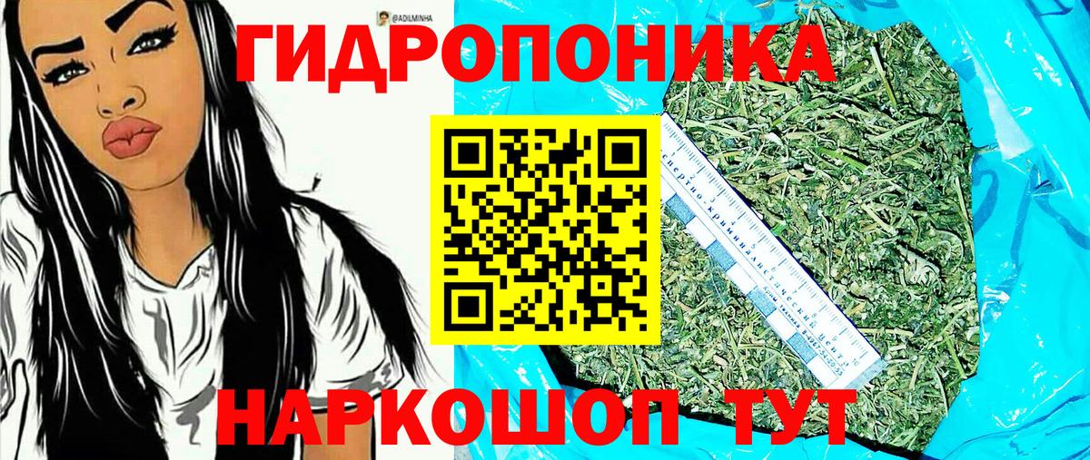 Бошки Шишки ГИДРОПОН Краснокаменск